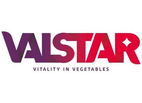 Valstar Holland bietet Tomaten-Verpackung aus China-Schilf an
