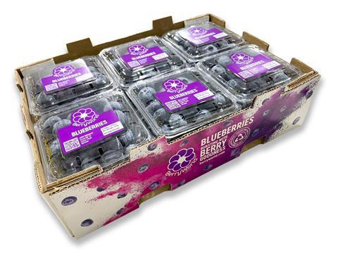 BerryWorld Asia -  China packaging