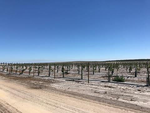 Fruit Attraction: Westfalia Fruit informiert über neuen Produktionsstandort