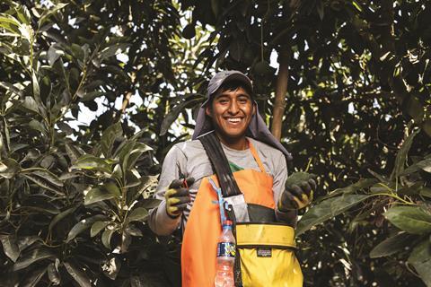 Safresco picker