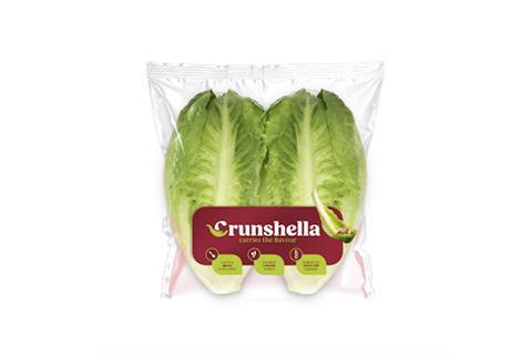 Crunshella mini snack lettuce Rijk Zwaan