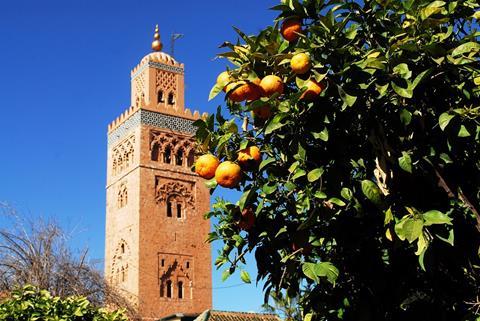 Spanien: 33% mehr Obst und Gemüse aus Marokko