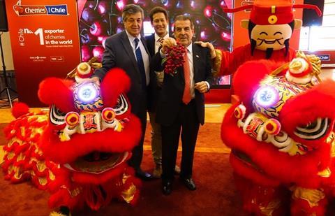 Chile: Kirschsektor startet Multi-Millionen-Dollar-Werbekampagne in China