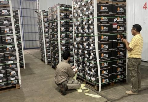 Argentine oranges to Ecuador