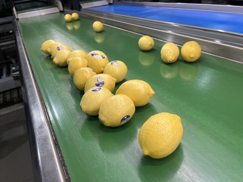 NPG Lemons compostable stickers 4