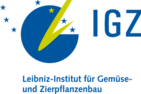 Logo_IGZ_deutsch