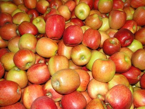 Bio: Neue Impulse für die Apfel-Verpackung