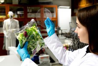 Biologisch abbaubare Verpackung, die Shelf life verlängert