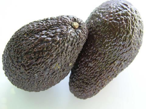 Westfalia/Agricom: Avocado-Investitionen in Kolumbien