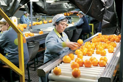 Citrus is a major fresh produce export from Spain to the UK