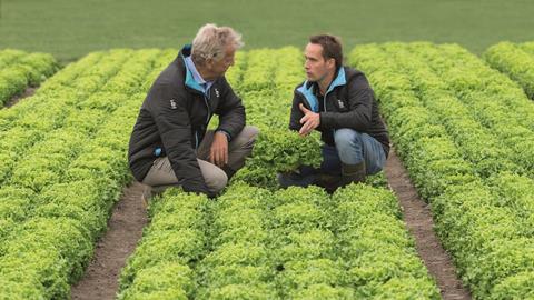 Foto: Bejo Samen GmbH