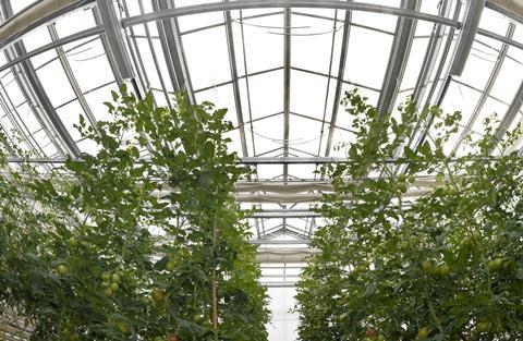 ZVG: Deutscher Gartenbautag diskutiert über die Zukunft der Arbeit