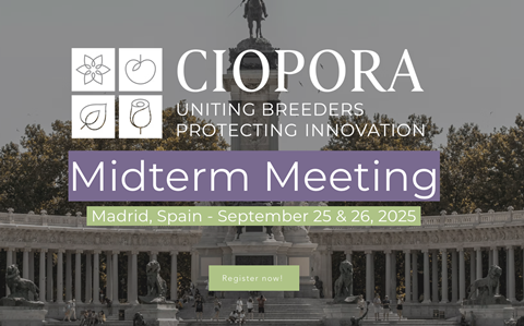 Ciopora conference