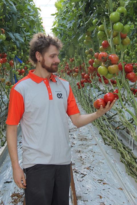 Julian Wolf Enza Zaden Fortitude