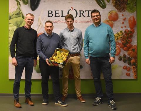 Belgien: BelOrta startet mit ersten Coeur de Boeuf in die Tomatensaison