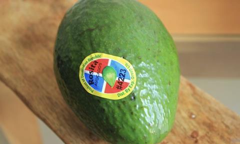 DR avocados