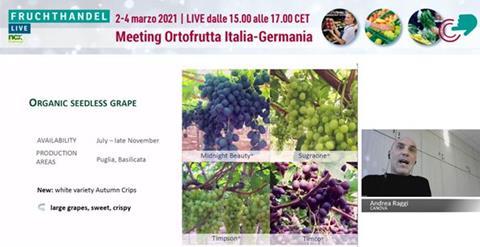 Andrea Raggi, Export Manager Canova Foto: Screenshot Meeting Ortofrutta Italia-Germania