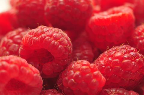 Himbeeren_06.jpg