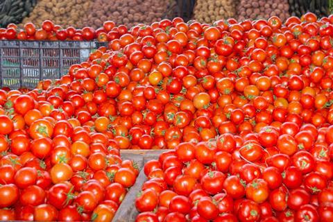 Moroccan tomatoes piled unpacked