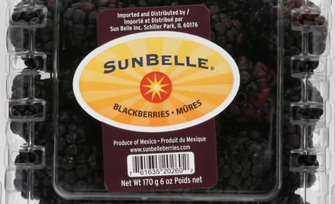 Sun Belle blackberries