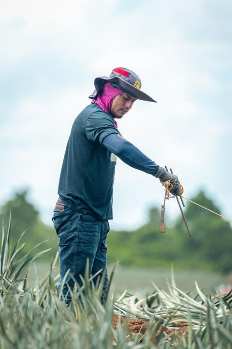 Fyffes Human Rights Report 2023
