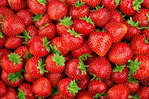 Erdbeeren