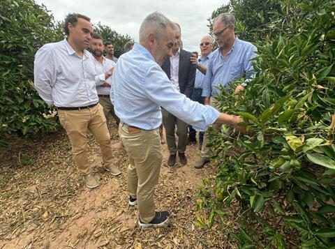 visita granizo burriana