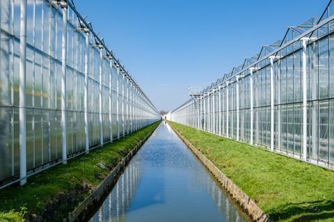 Glasshouse growers have been banned from using water from dykes to irrigate their crops