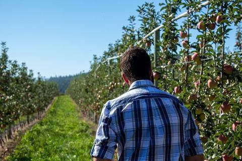 BC Tree Fruits grower