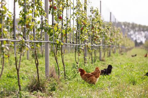 FruitMasters-2024_Bloss-biologisch-1024x683