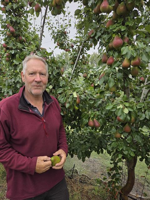5th generation pear grower Chris Pethick