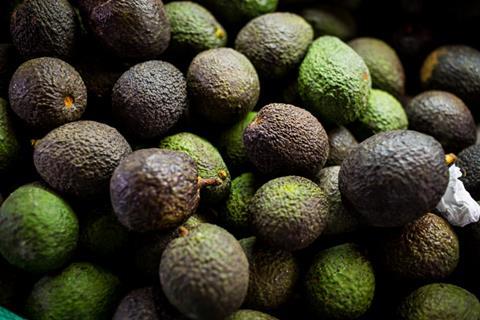 Colombia Hass avos