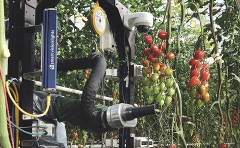 Syngenta Four Growers tomato robot