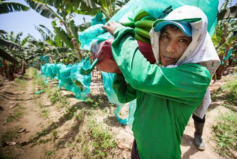 Fairtrade-Umsatz steigt auf 1,6 Milliarden
