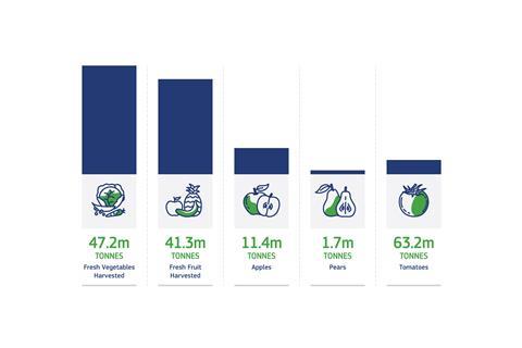 EU fruit and vegetable production in 2023