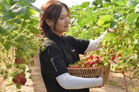Mansfields is reporting good crop quality