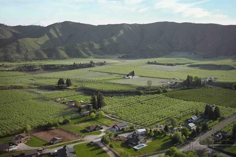 CMI Orchards' orchards