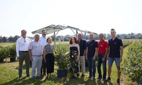 RWA Österreich Solar-Pionierprojekt Heidelbeeren