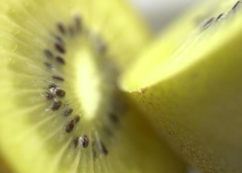 NZ: New method doubles Envy apple yields, boosts SunGold kiwifruit quality  