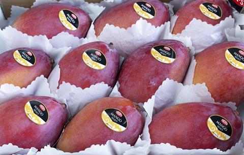 Spanien: Start einer viel versprechenden Mango-Kampagne