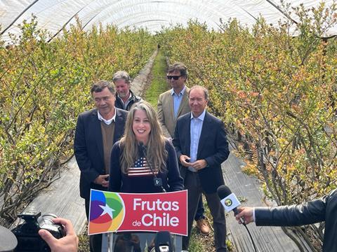 Chile Blueberry Day