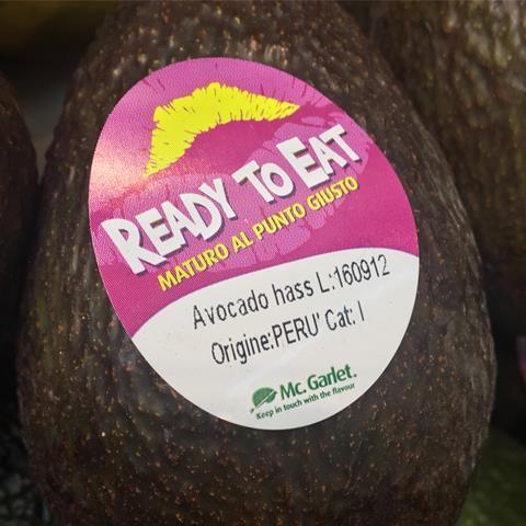 Peru avocado Mcgarlet