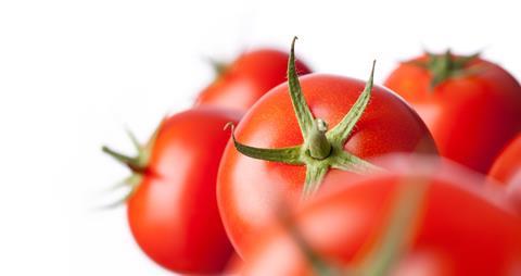 Tomaten - AdobeStock
