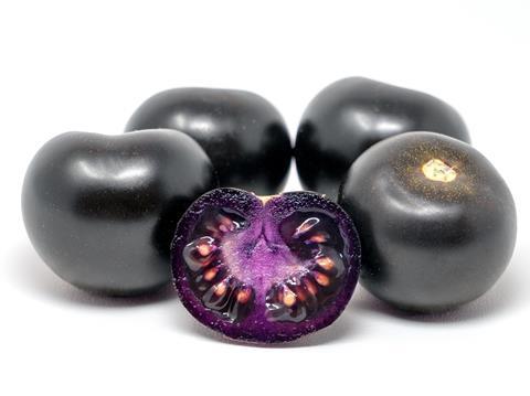 The Purple Tomato