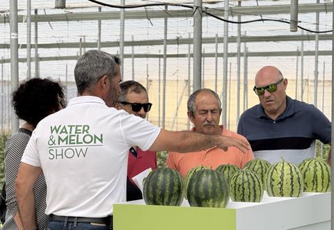 Semillas Fito melon and watermelon show