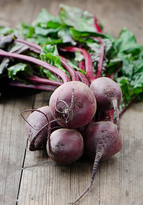 Rote Beete Yevgeniya Shal - Fotolia