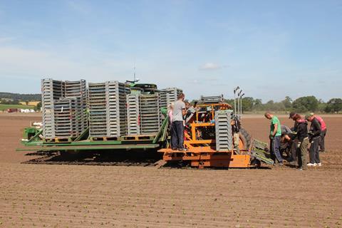 On the campaign trail, Truss promised to expand the seasonal worker scheme