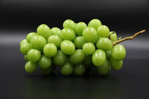 Grape imports to decrease in 2023/24 due to growing domestic competition