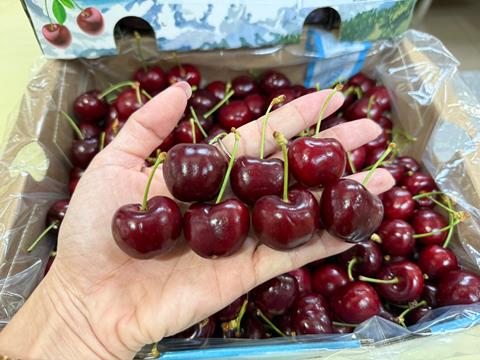 Chilean cherries to India