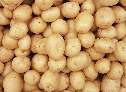 Drought conditions have led to smaller potatoes